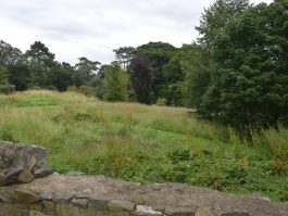 Lodge 2 view Kendal